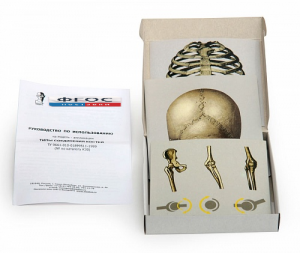 Модель-аппликация "Типы соединения костей" (набор из 7 карт) - fgospostavki.ru - Киров