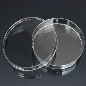 Чашка Петри стеклянная с крышкой 100х20 - fgospostavki.ru - Киров