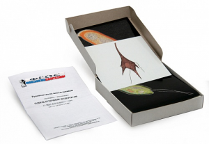 Модель-аппликация "Одноклеточные водоросли" (набор из 24 карт) - fgospostavki.ru - Киров