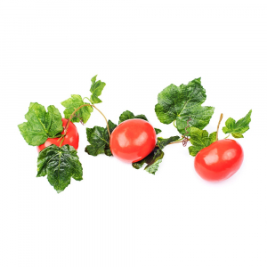 Ветка муляжей "Помидоры" - fgospostavki.ru - Киров