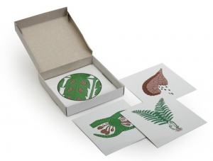 Модель-аппликация "Размножение папоротника" (набор из 8 карт) - fgospostavki.ru - Киров