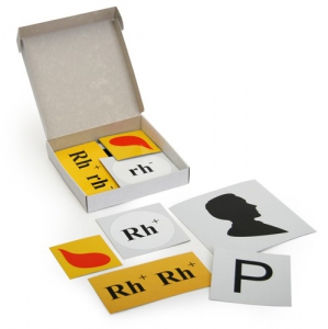 Модель-аппликация "Наследование резус-фактора" (набор из 19 карт) - fgospostavki.ru - Киров