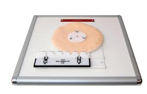 Комплекс "Изучение зубьев" - fgospostavki.ru - Киров