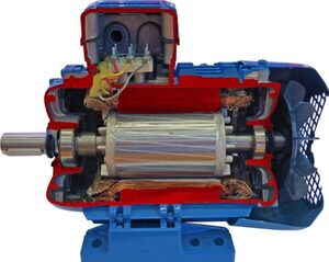 Учебная модель «Электродвигатель асинхронный в разрезе» - fgospostavki.ru - Киров