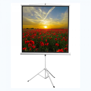 Экран на штативе DSKD-1105  - fgospostavki.ru - Киров