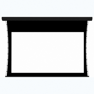 Экран настенный с электроприводом DSTPX-16918 - fgospostavki.ru - Киров