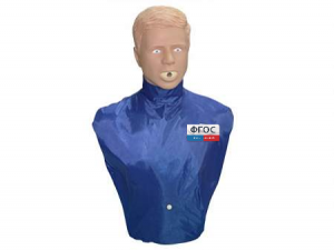 Тренажер-манекен взрослого пострадавшего "Искандер" для отработки приемов удаления инородного тела из верхних дыхательных путей - fgospostavki.ru - Киров