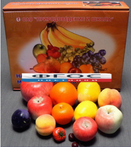 Набор муляжей фруктов (большой из 13 штук) - fgospostavki.ru - Киров