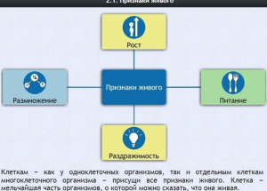 Интерактивные курсы. Биология 5 класс. Базовый - fgospostavki.ru - Киров