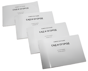 Пособие для слабовидящих - В мире растений: сад и огород - fgospostavki.ru - Киров