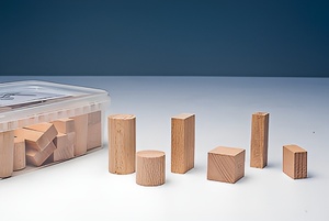 Игровой набор Фребеля "Конструктор" (50 элементов, бук, серия "Красота вокруг нас") - fgospostavki.ru - Киров