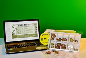 Коллекция натурально-интерактивная "Палеонтологическая" - fgospostavki.ru - Киров