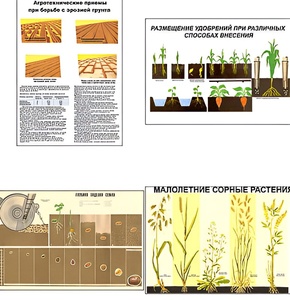 Плакаты ПРОФТЕХ "Агрономия" (5 пл, винил, 70х100) - fgospostavki.ru - Киров