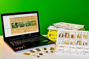 Коллекция натурально-интерактивная "Плоды сельскохозяйственных растений" - fgospostavki.ru - Киров