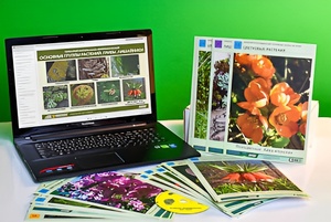 Гербарий натурально-интерактивный "Основные группы растений. Грибы. Лишайники" - fgospostavki.ru - Киров