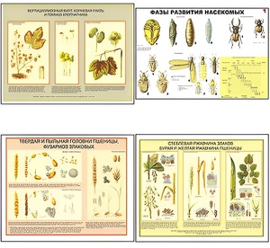 Плакаты ПРОФТЕХ "Вредители и болезни с/х культур и меры борьбы с ними" (11 пл, винил, 70х100) - fgospostavki.ru - Киров