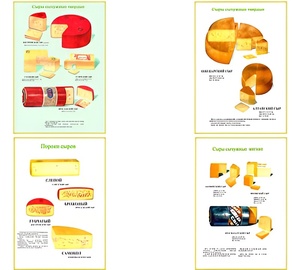Плакаты ПРОФТЕХ "Ассортимент сыров" (9 пл, винил, 70х100) - fgospostavki.ru - Киров
