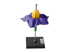 Модель цветка картофеля - fgospostavki.ru - Киров