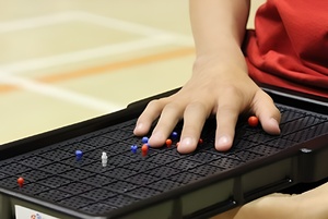 Сетка для игры тактильная (Бочча) - fgospostavki.ru - Киров