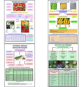 Плакаты ПРОФТЕХ "Классификация овощей" (11 пл, винил, 70х100) - fgospostavki.ru - Киров