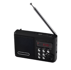 Радиоприемник цифровой с крупными кнопками - fgospostavki.ru - Киров