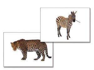 Дидактическое пособие "Дикие животные" - fgospostavki.ru - Киров