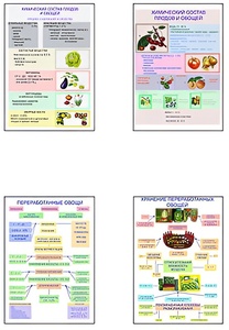 Плакаты ПРОФТЕХ "Классификация овощей и переработка" (8 пл, винил, 70х100) - fgospostavki.ru - Киров