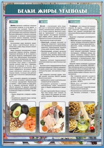 Стенд "Белки. Жиры. Углеводы" - fgospostavki.ru - Киров