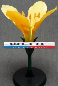 Модель "Цветок капусты" - fgospostavki.ru - Киров