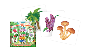 Набор карточек "Ботанический сад" - fgospostavki.ru - Киров