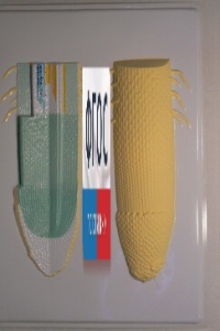 Модель барельефная "Клеточное строение корня" - fgospostavki.ru - Киров