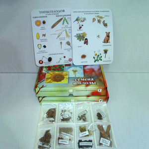 Коллекция "Семена и плоды с раздаточным материалом" - fgospostavki.ru - Киров