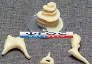 Модель "Косточки слуховые" - fgospostavki.ru - Киров