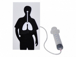 Демонстрационная модель "Эффект курения" - fgospostavki.ru - Киров