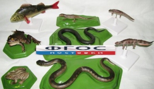 Комплект моделей "Позвоночные животные" (8 штук) - fgospostavki.ru - Киров