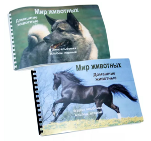 Пособие для слабовидящих - Домашние животные - fgospostavki.ru - Киров
