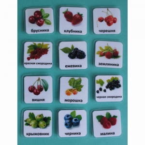 Набор карточек "Ягоды" - fgospostavki.ru - Киров