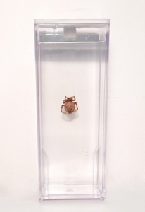 Влажный препарат "Паук" - fgospostavki.ru - Киров