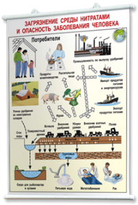 Плакаты по общей экологии для оформления кабинета. - fgospostavki.ru - Киров