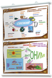 Плакаты по русскому языку для оформления кабинета. - fgospostavki.ru - Киров