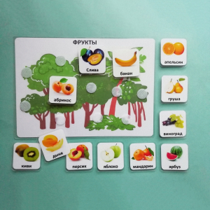 Пособие "Овощи и фрукты" - fgospostavki.ru - Киров