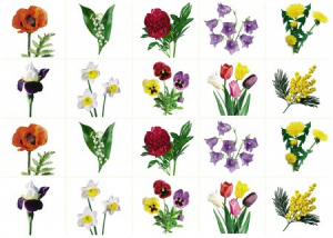 Комплект карточек "Запоминай, играй, считай" - Цветы - fgospostavki.ru - Киров