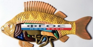 Модель барельефная "Внутреннее строение рыбы" - fgospostavki.ru - Киров