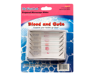 Набор микропрепаратов для микроскопа №1 «Человек» - fgospostavki.ru - Киров