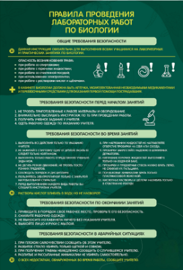 Стенд "Правила выполнения лабораторных работ по биологии" Вариант 1 - fgospostavki.ru - Киров