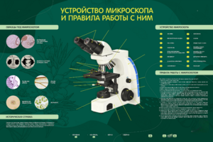 Электрифицированный стенд "Устройство микроскопа и правила работы c ним" - fgospostavki.ru - Киров