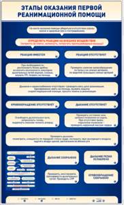 Электрифицированный стенд-тренажер "Этапы оказания первой реанимационной помощи" - fgospostavki.ru - Киров