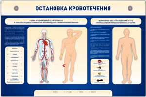 Электрифицированный стенд-тренажер "Остановка кровотечения" - fgospostavki.ru - Киров