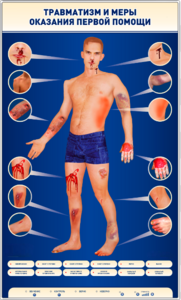 Электрифицированный стенд-тренажер "Травматизм и меры оказания первой помощи" - fgospostavki.ru - Киров