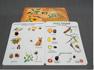 Коллекция "Семена и плоды" - fgospostavki.ru - Киров